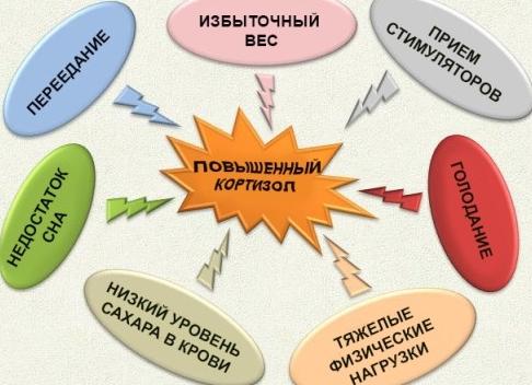 Анализ мочи на кортизол — как сдавать, какая норма, почему повышается или понижается?
