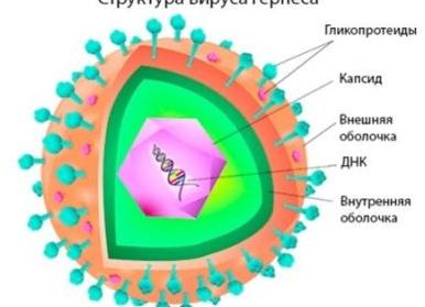 Лечение болей во время и после перенесенного опоясывающего герпеса