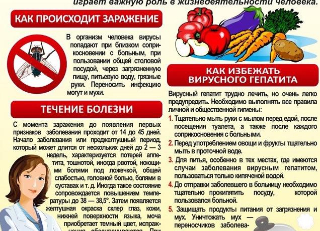 Как можно профилактировать заражение вирусным гепатитом В (Б)