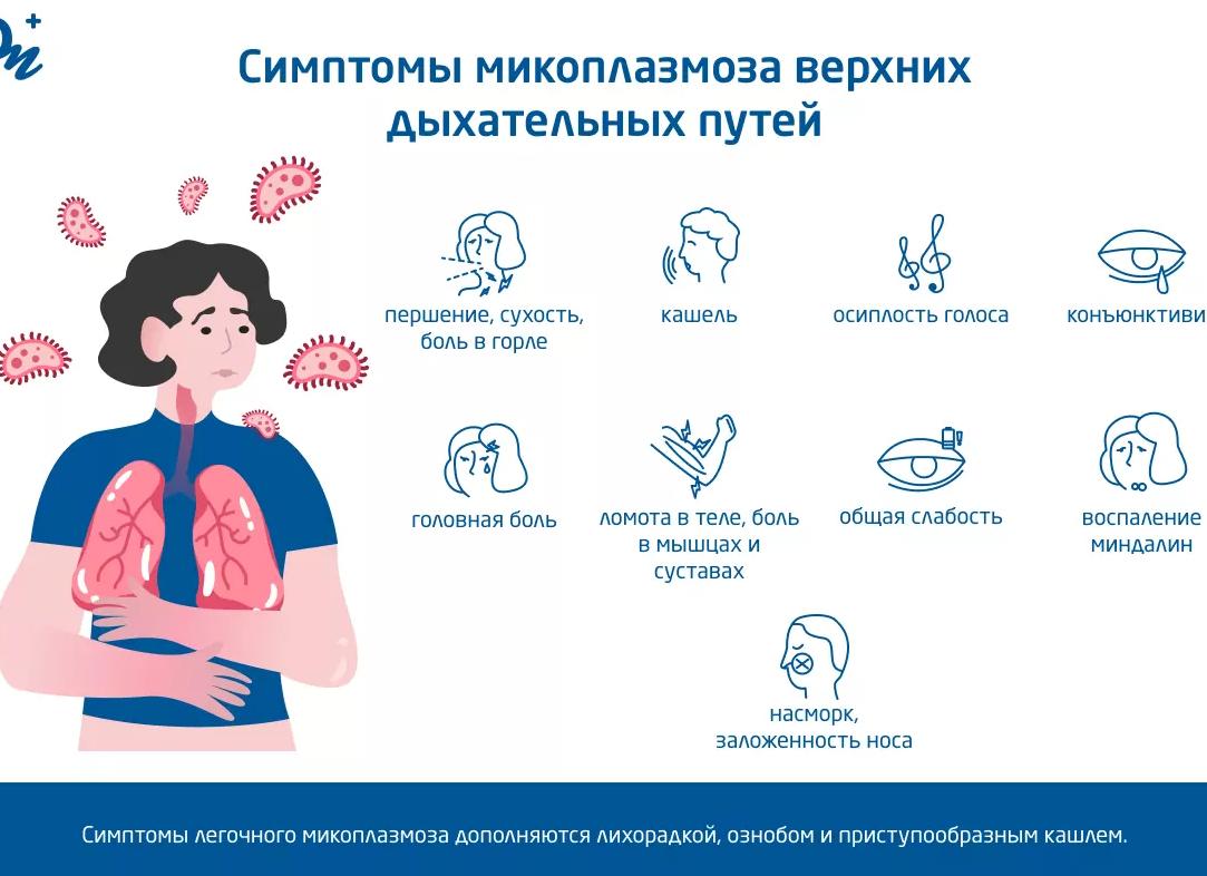 Как микоплазма влияет на беременность и на плод
