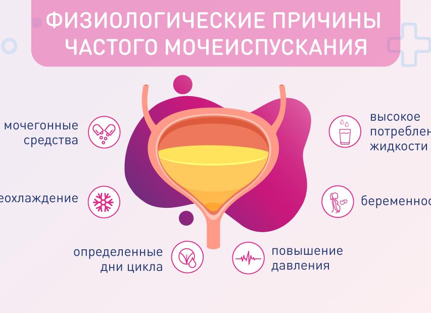 Почему у мужчин появляются частые позывы к мочеиспусканию, как с этим бороться?